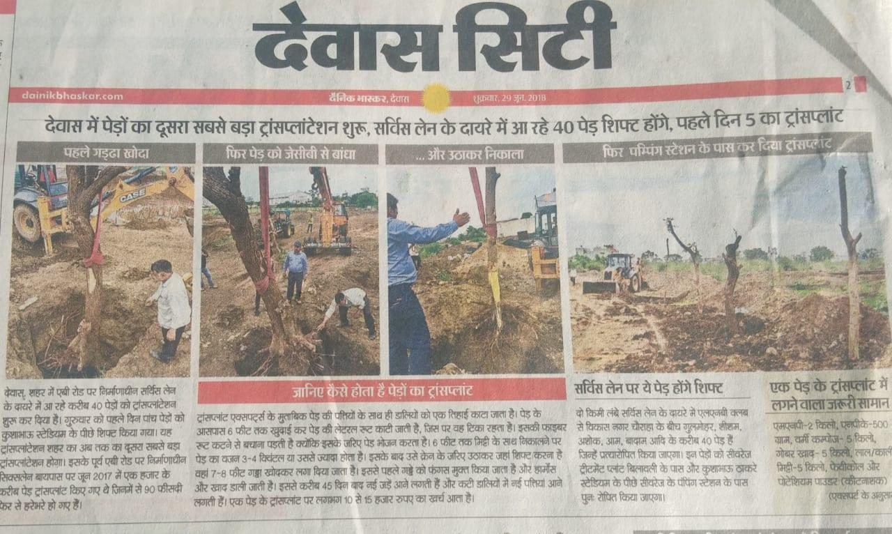 Newspaper coverage of large-scale tree transplantation by Choudhary Garden Services in Dewas