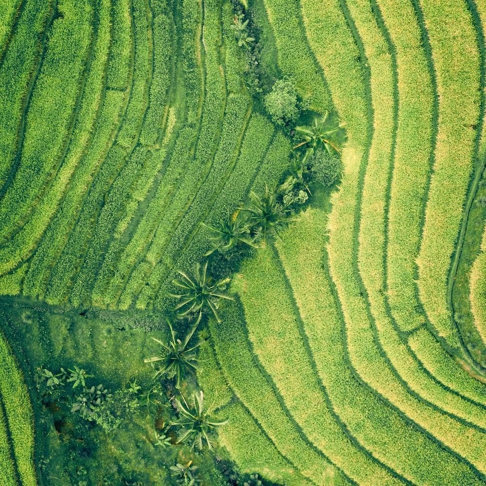 Aerial view of layered green landscape developed by Choudhary Garden Services