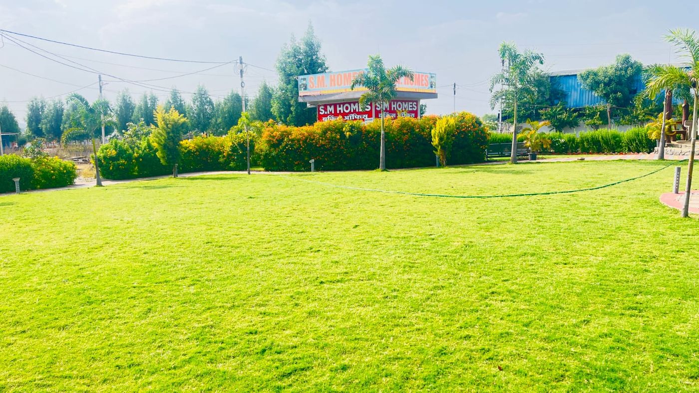 Estate lawn & planting — landscaping by Choudhary Garden Services
