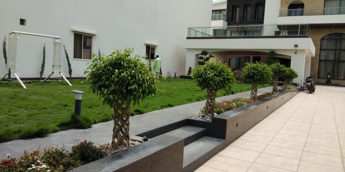 Topiary on structure — landscaping by Choudhary Garden Services