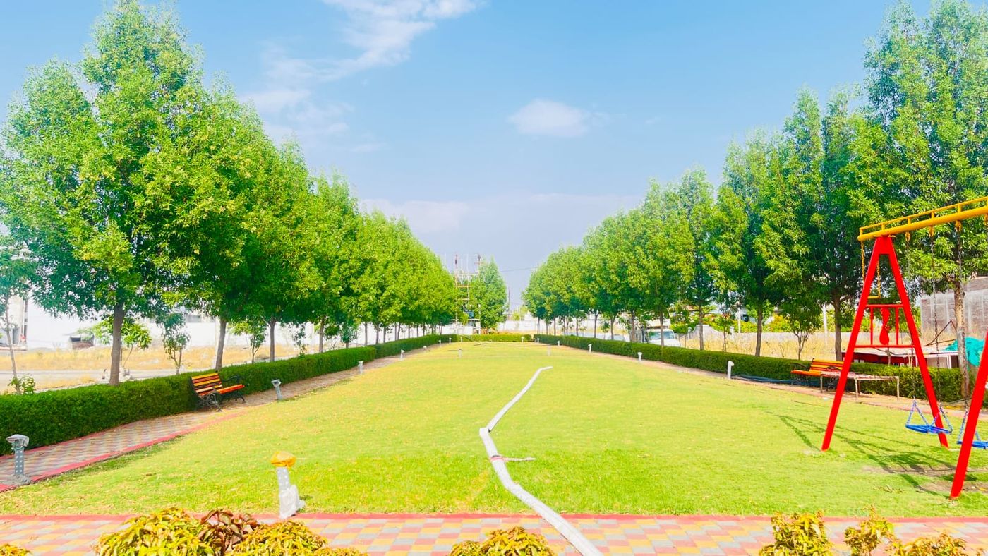 Tree-lined avenue — landscaping by Choudhary Garden Services
