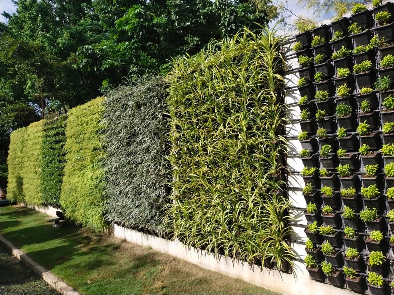 Vertical garden panels — landscaping by Choudhary Garden Services
