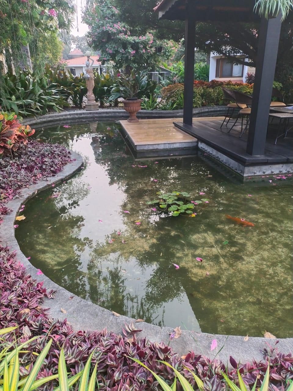 Water garden & bridge — landscaping by Choudhary Garden Services