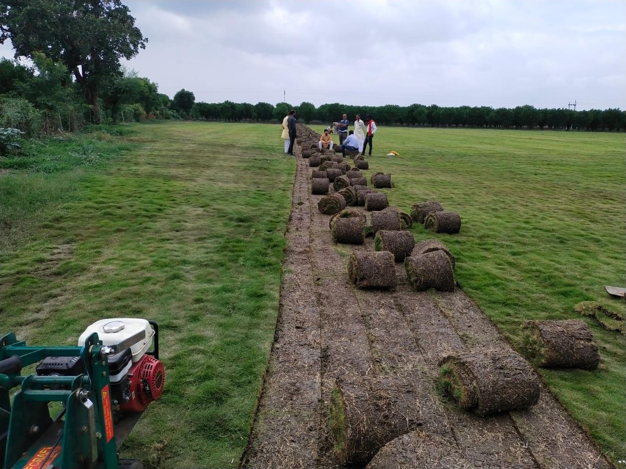 Turf from our farm — landscaping by Choudhary Garden Services